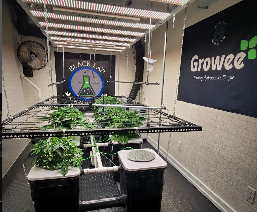 Black Lab's Growee setup - customer review photo